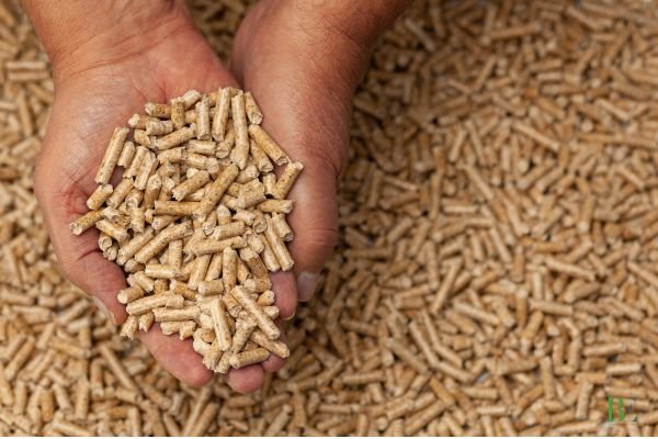 Comparative Analysis: Different Types of Biomass Pellets